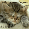Ашера
